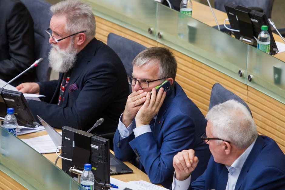 Seimas patvirtino 2019 metų biudžetą