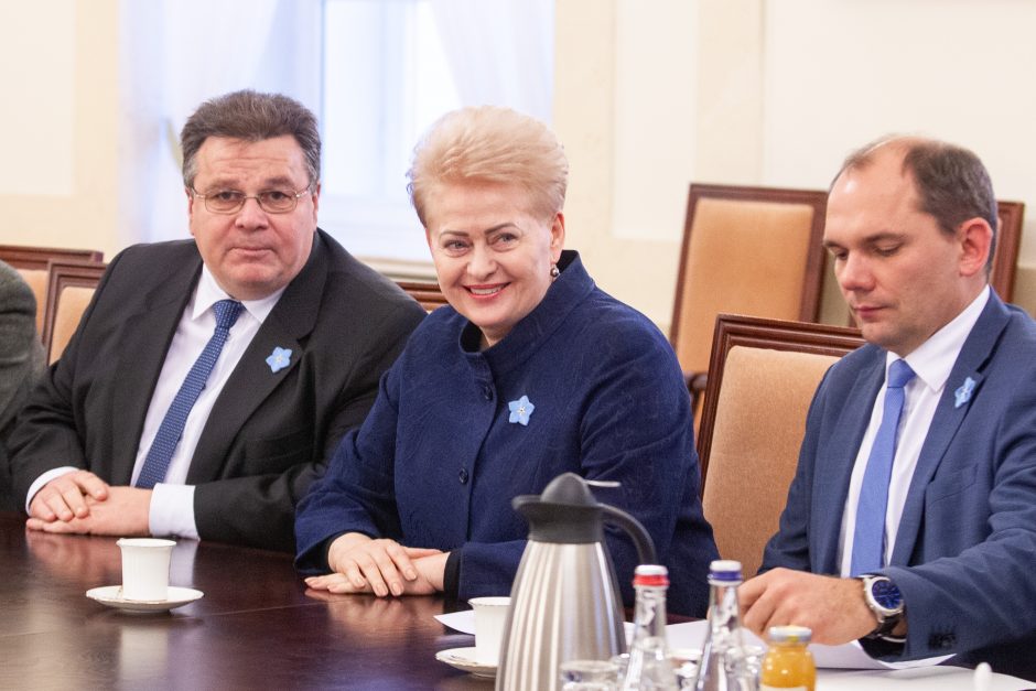 D. Grybauskaitė: Europa privalo prisiimti atsakomybę už savo saugumą