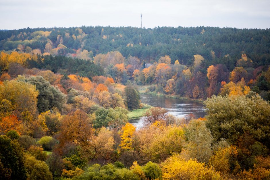 Auksinis ruduo sostinėje