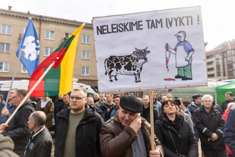 Lietuvos pieno gamintojų mitingas prie Seimo