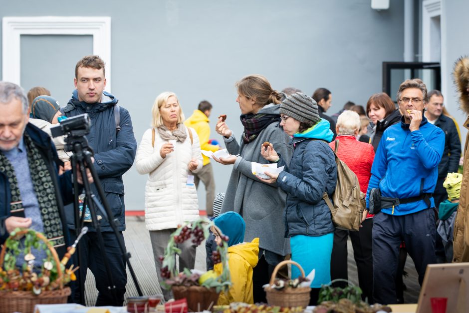 Sveiko maisto šventė: iškyla neapsiriboja tik šašlykais ir traškučiais