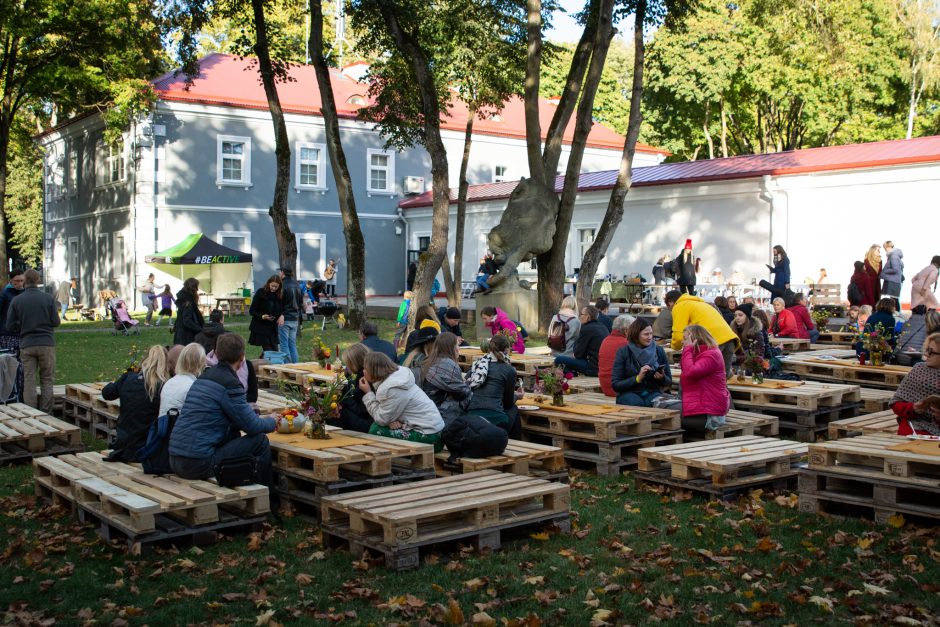 Sveiko maisto šventė: iškyla neapsiriboja tik šašlykais ir traškučiais