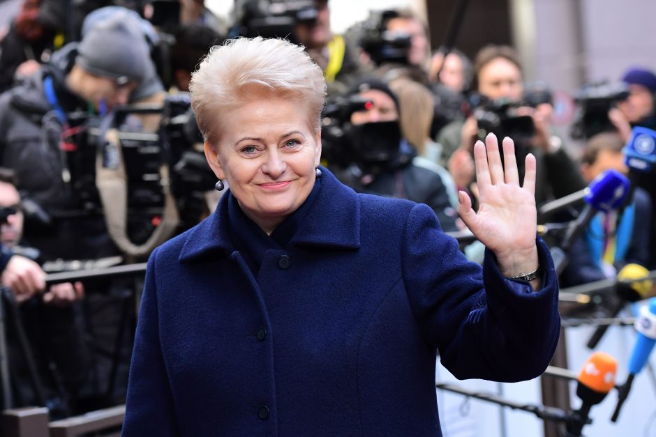 D. Grybauskaitė: dėl situacijos Rytų Ukrainoje sankcijos Rusijai turi plėstis