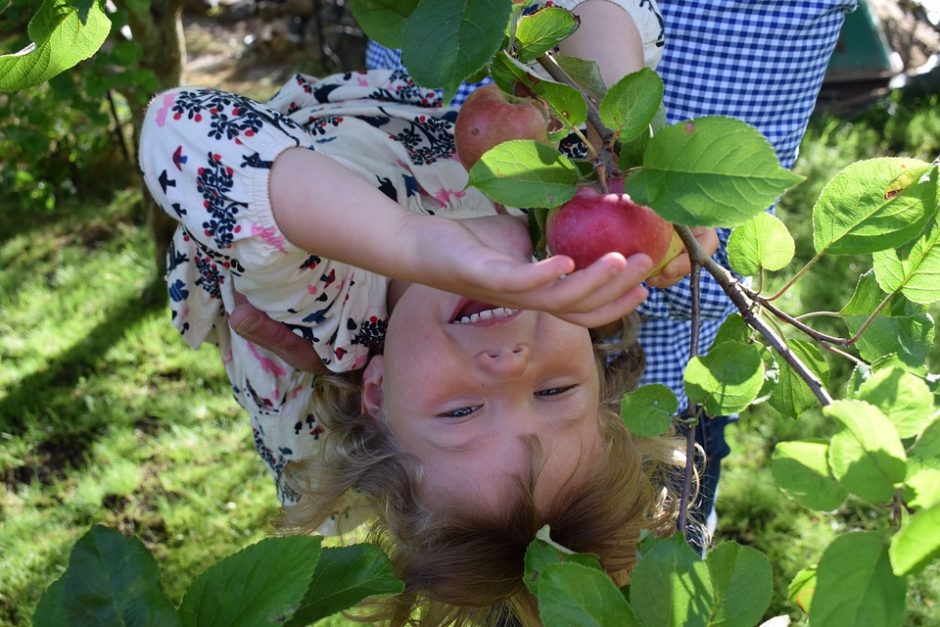 Kodėl vaikai dažnai nemėgsta vaisių ir daržovių?