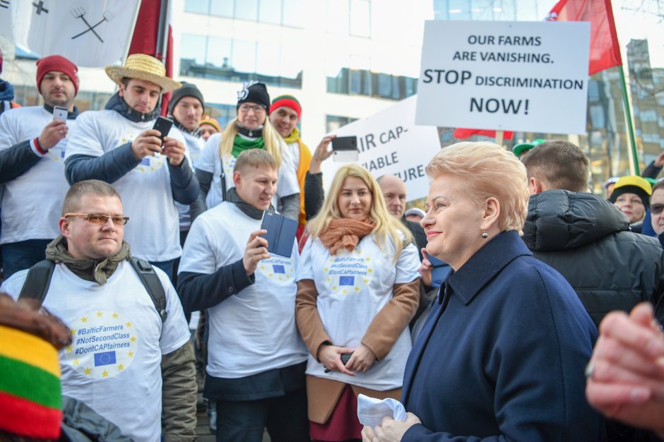 D. Grybauskaitė Briuselyje kovos už Lietuvos ūkininkus 