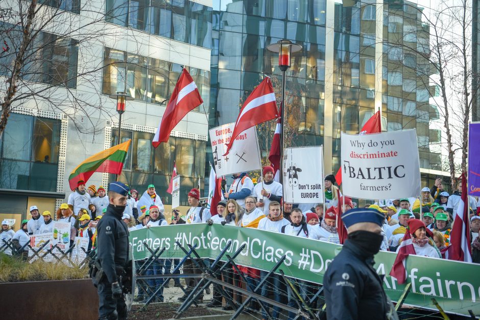 D. Grybauskaitė Briuselyje kovos už Lietuvos ūkininkus 