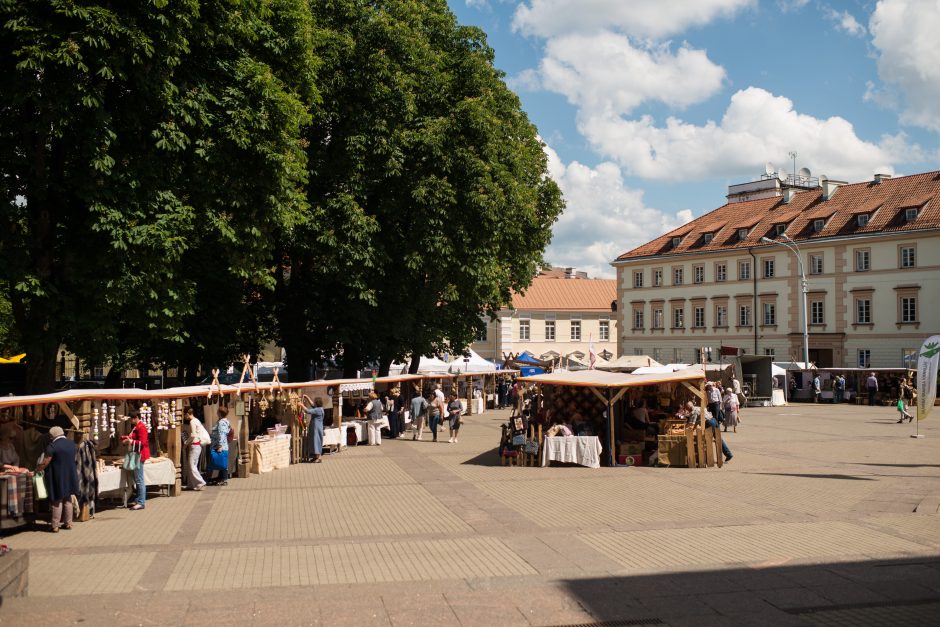 Vilniuje prasideda festivalis „Skamba skamba kankliai“