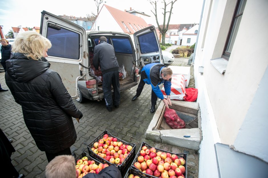 Prieš Kalėdas gerų darbų karuselė įsisuka vis smarkiau