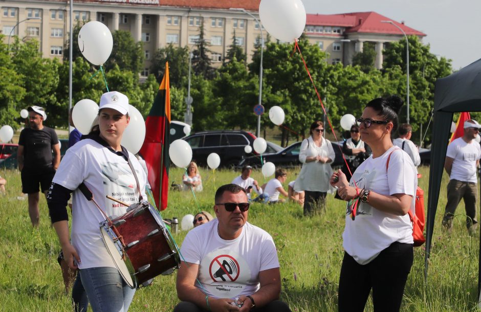 Įvertino prezidento paramą „Šeimų gynimo maršui“: G. Nausėda galbūt remia naują politinę jėgą