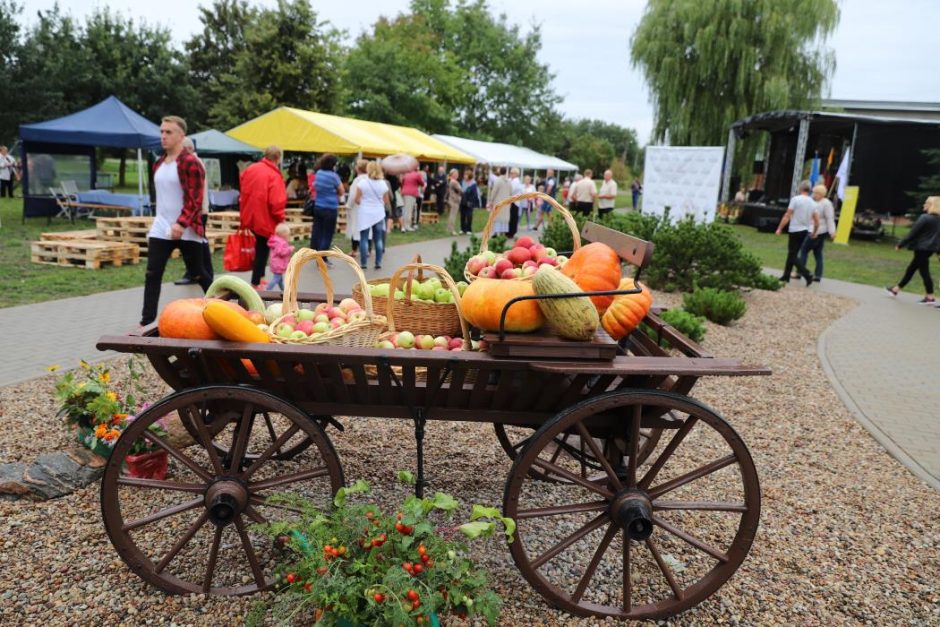 Panevėžiuke šurmuliavo „Kaimynų šventė 2018“