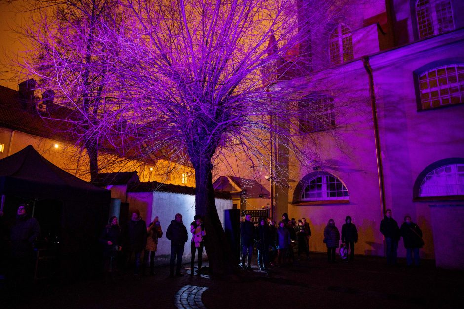 Vilniaus šviesų festivalis