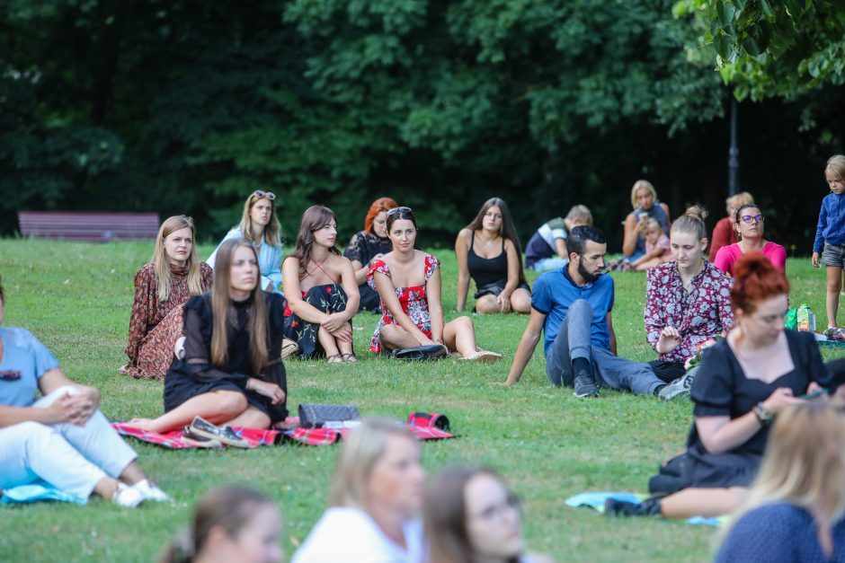 Labdaros vakaras Raudondvario dvaro kiemelyje