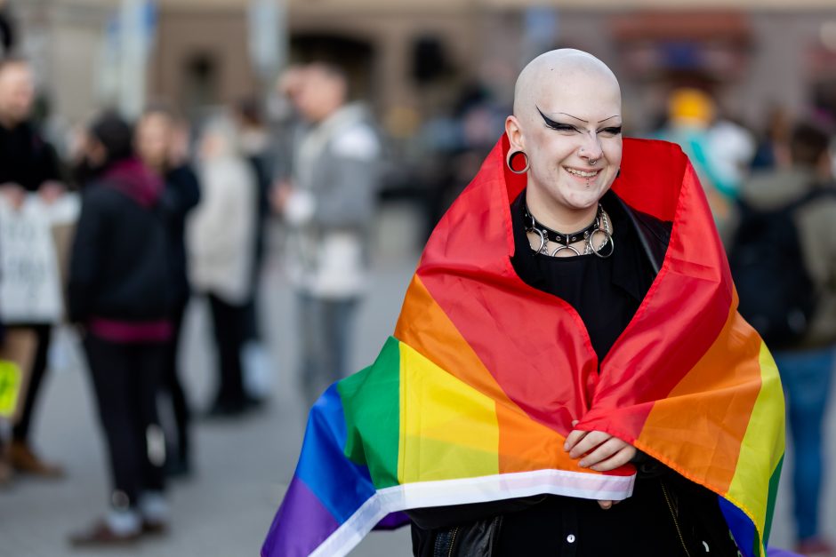 Protestuotojai ragino į Seimo sesiją įtraukti Partnerystės įstatymą: gana mus skaldyti ir skirstyti