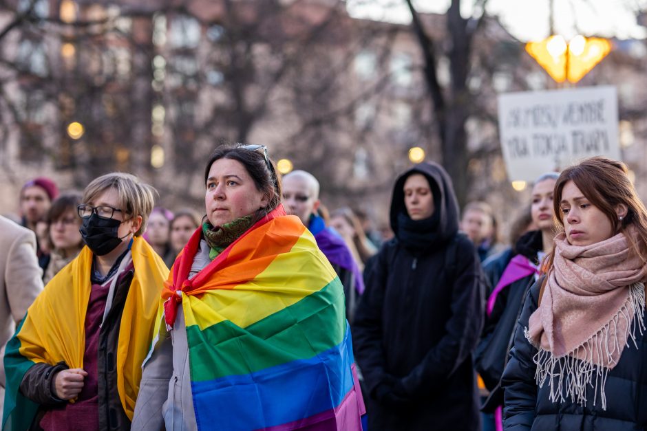 Protestuotojai ragino į Seimo sesiją įtraukti Partnerystės įstatymą: gana mus skaldyti ir skirstyti