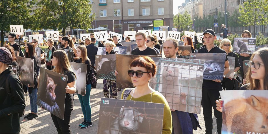 Protestas prie Seimo