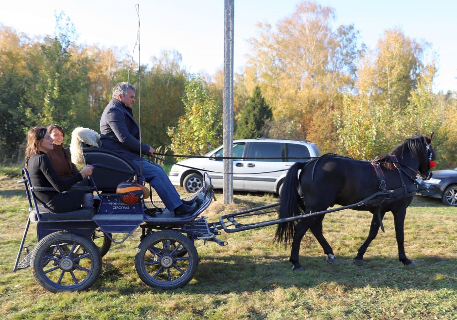 Žemaitukų šlovė: nuo istorinių mūšių iki šiandienos „Jotvingių taurės“  