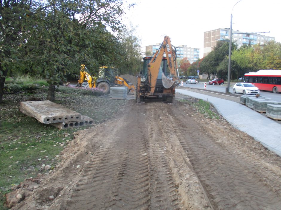 Kaune nuverstas parką bjaurojęs vaiduoklis