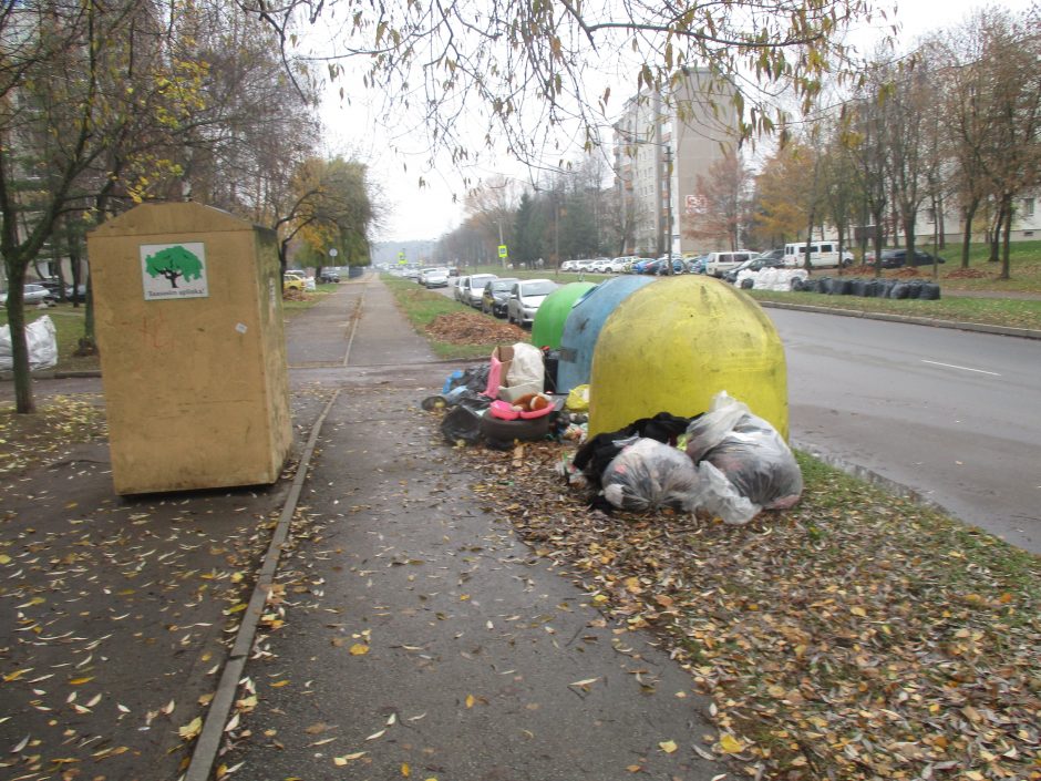 Kauniečiai šiukšles meta prie pėsčiųjų tako, nes tingi paeiti keliasdešimt metrų?