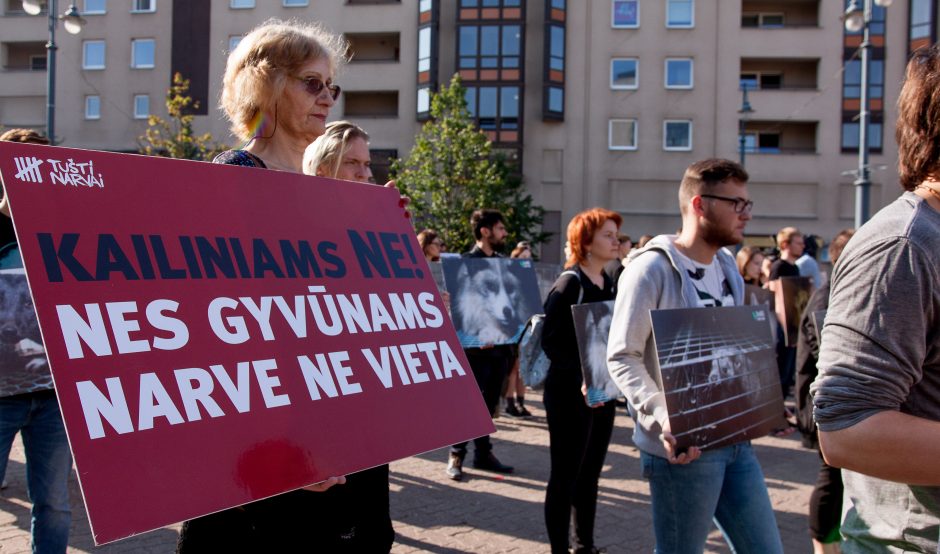 Protestas prie Seimo: parlamentarams parodyti gyvūnų lavonai