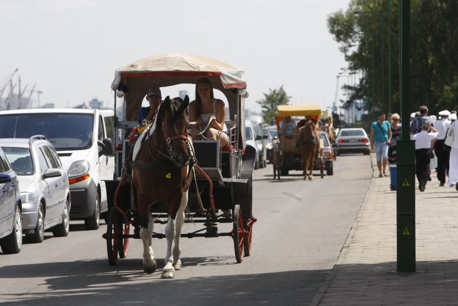 Prašė uždrausti automobilių eismą  