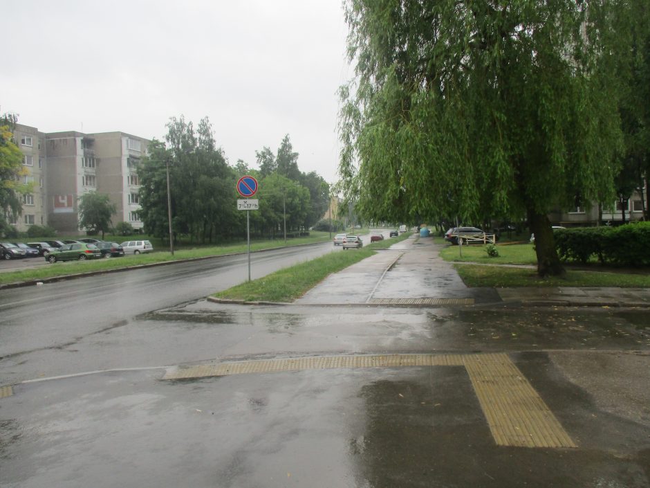 Lietuvoje išsilaikys lietingi orai