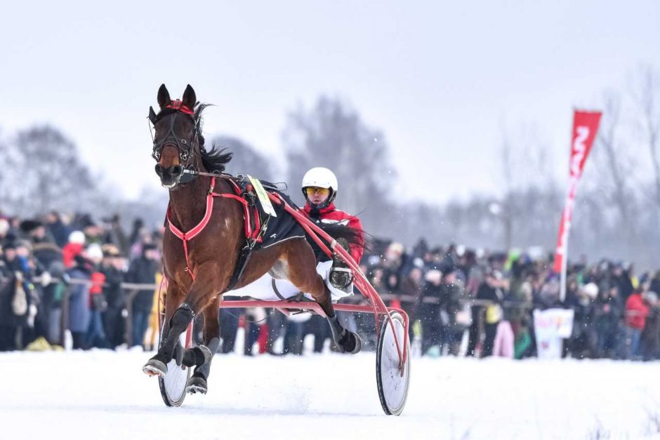 Vasario 2 dieną kviečia „Sartai 2019“