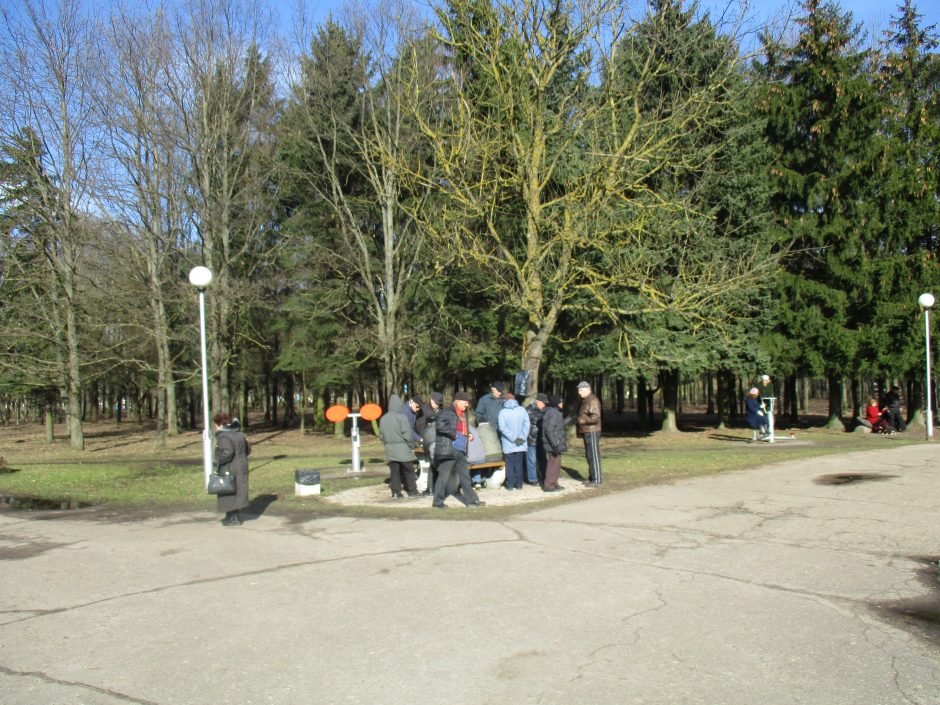 Draugystės parke – kauniečių antplūdis