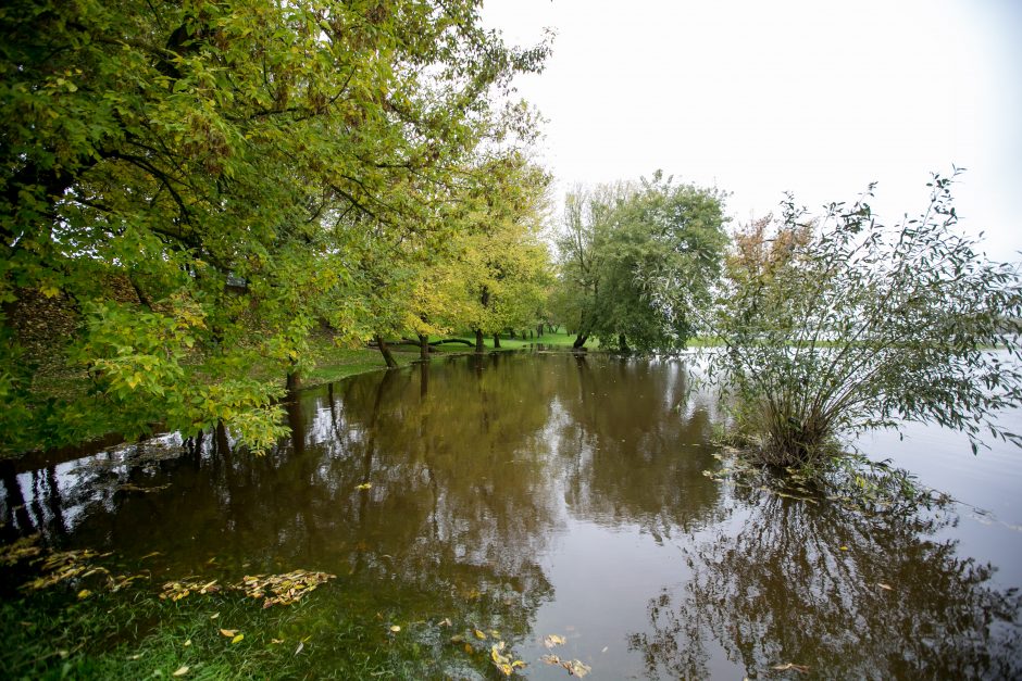 Kas kaltas dėl akyse tvinstančio Nemuno?