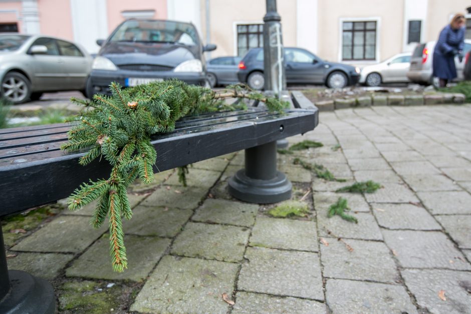 Į kauniečių namus iškeliavo tūkstančiai eglių šakų