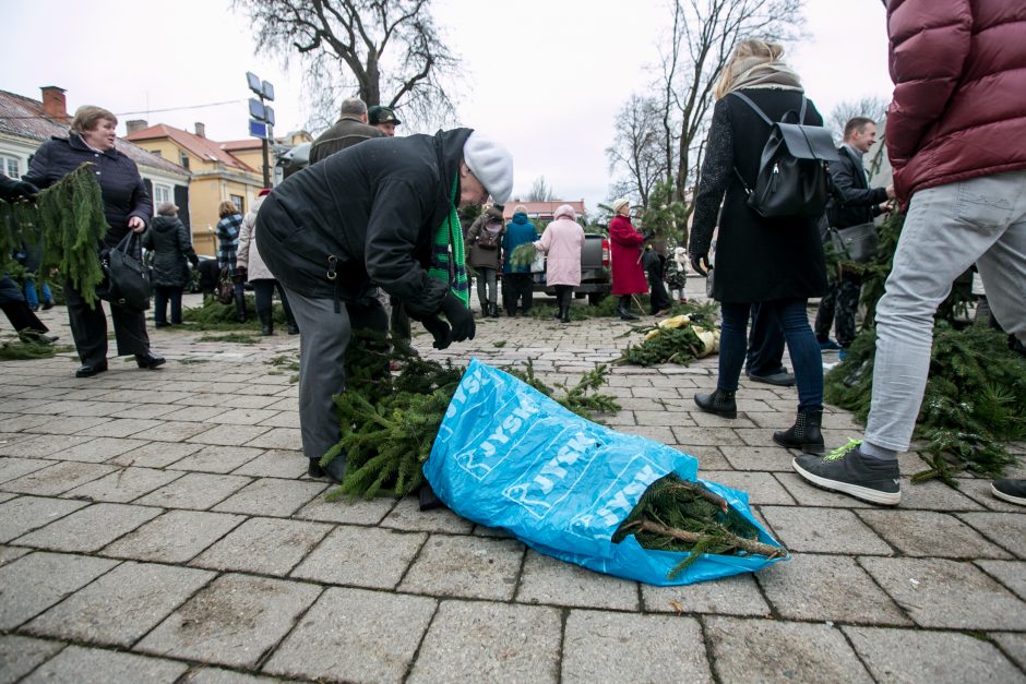 Į kauniečių namus iškeliavo tūkstančiai eglių šakų