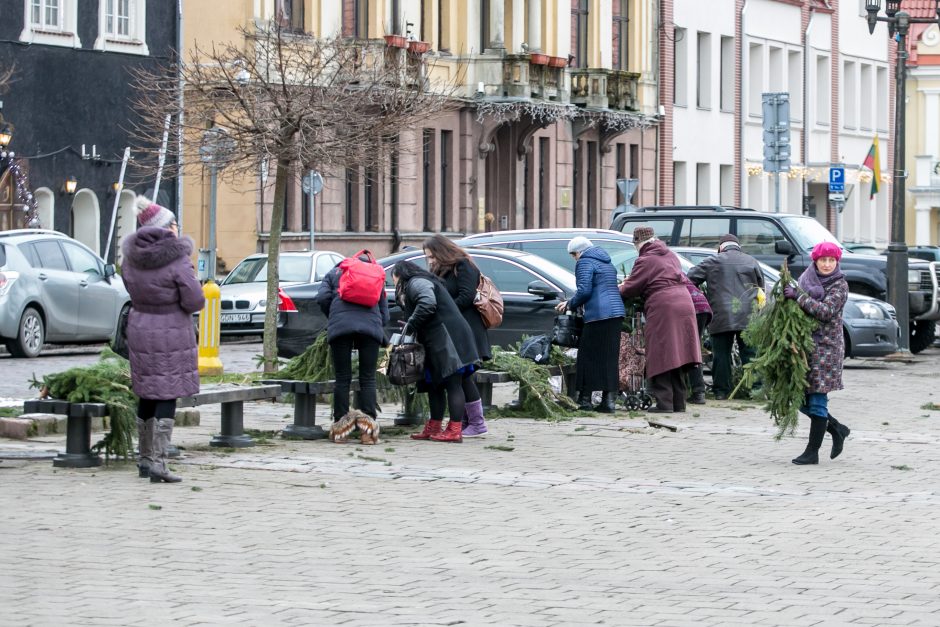 Į kauniečių namus iškeliavo tūkstančiai eglių šakų