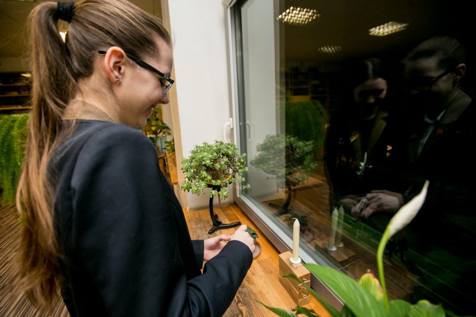 Mokyklų languose sužibo Sausio 13-osios žvakutės