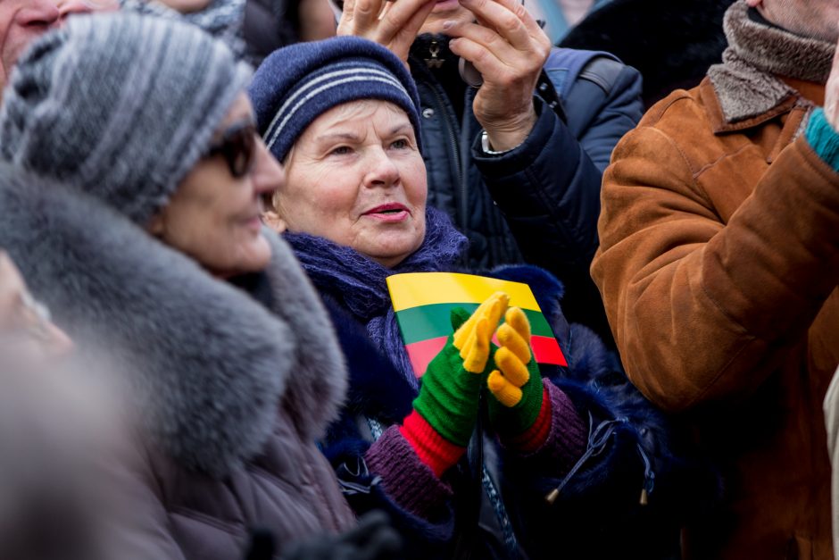 Tūkstantinė minia suplūdo į A. Tapino sušauktą mitingą prie Seimo (vaizdo įrašas)