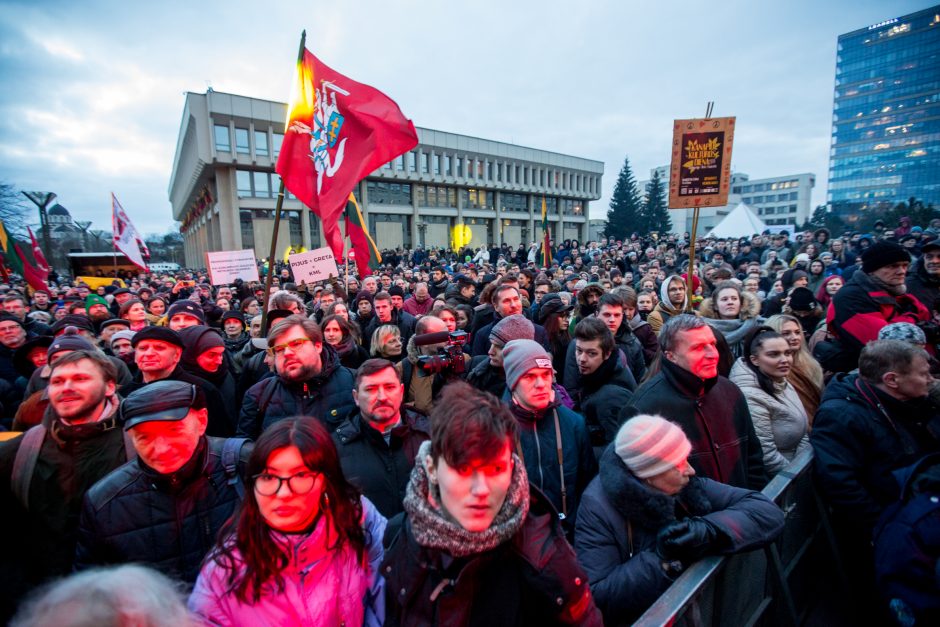 Tūkstantinė minia suplūdo į A. Tapino sušauktą mitingą prie Seimo (vaizdo įrašas)