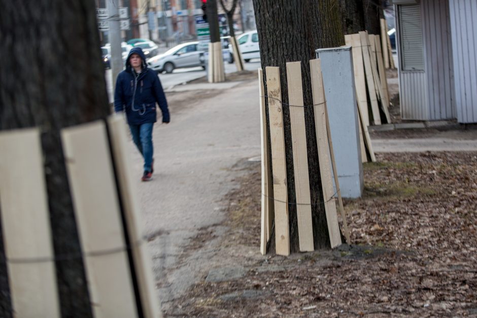 Savanorių pr. rekonstrukcijos paruošiamieji darbai