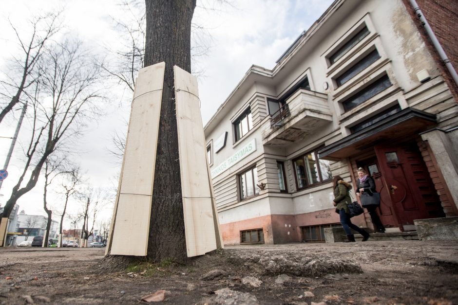 Savanorių pr. rekonstrukcijos paruošiamieji darbai