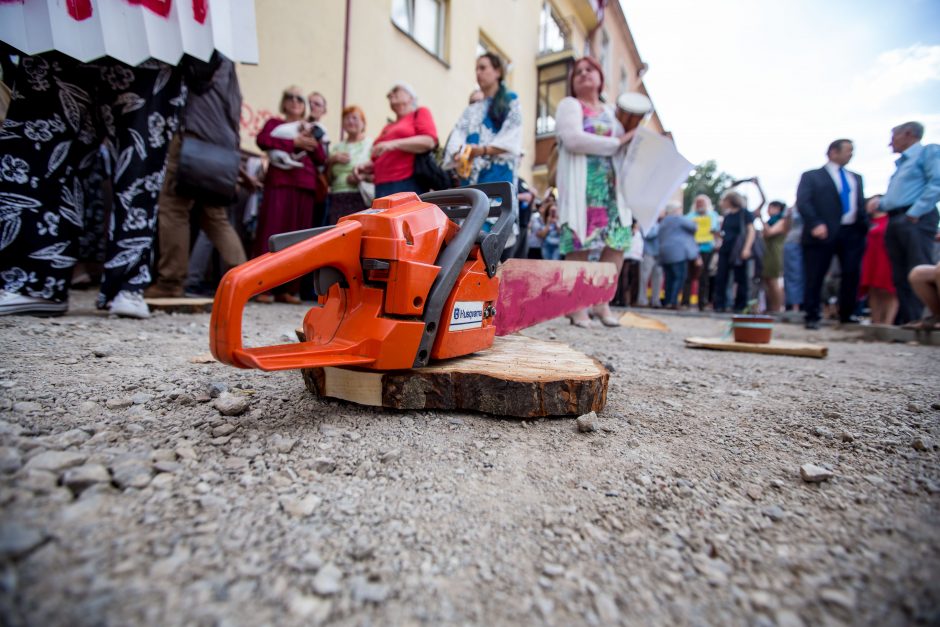 Protestas Miško gatvėje dėl kertamų medžių 