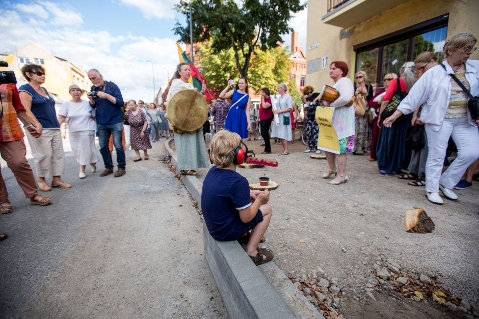 Protestas Miško gatvėje dėl kertamų medžių 