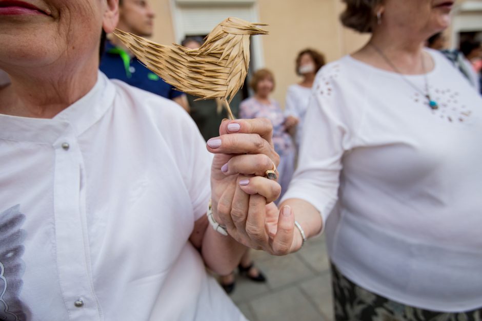 Protestas Miško gatvėje dėl kertamų medžių 