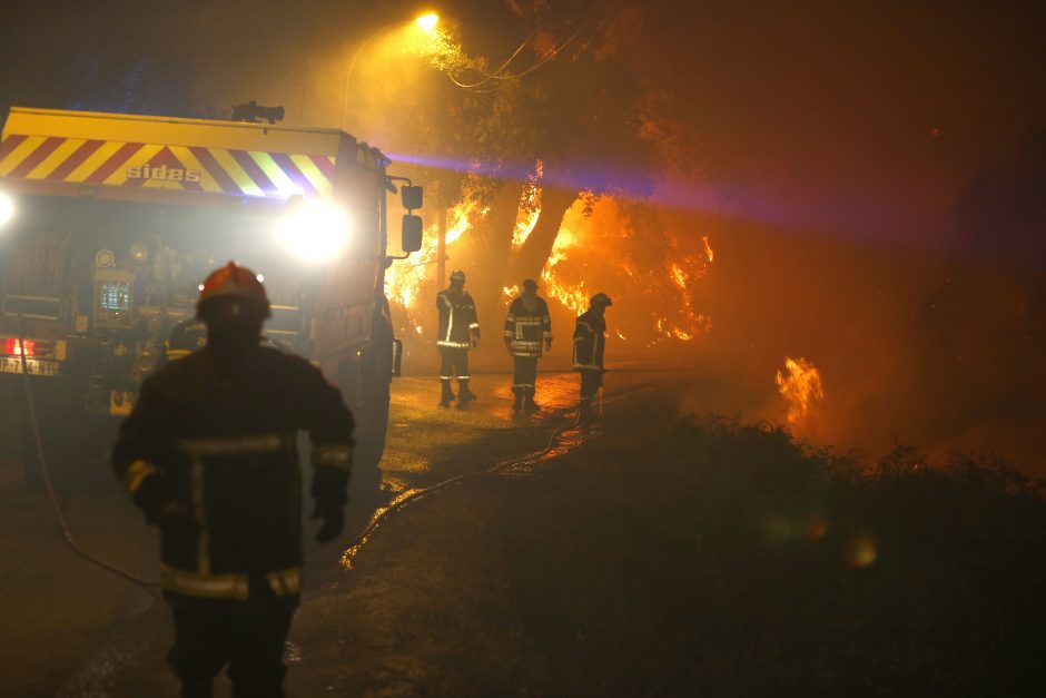 Pietų Prancūzijoje šimtai ugniagesių kovoja su miškų gaisrais