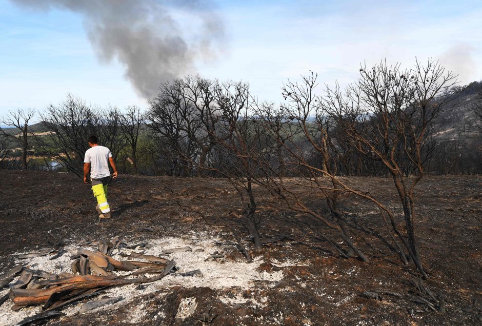 Prancūzijos ugniagesiai suvaldė didžiulį gaisrą prie Viduržemio jūros