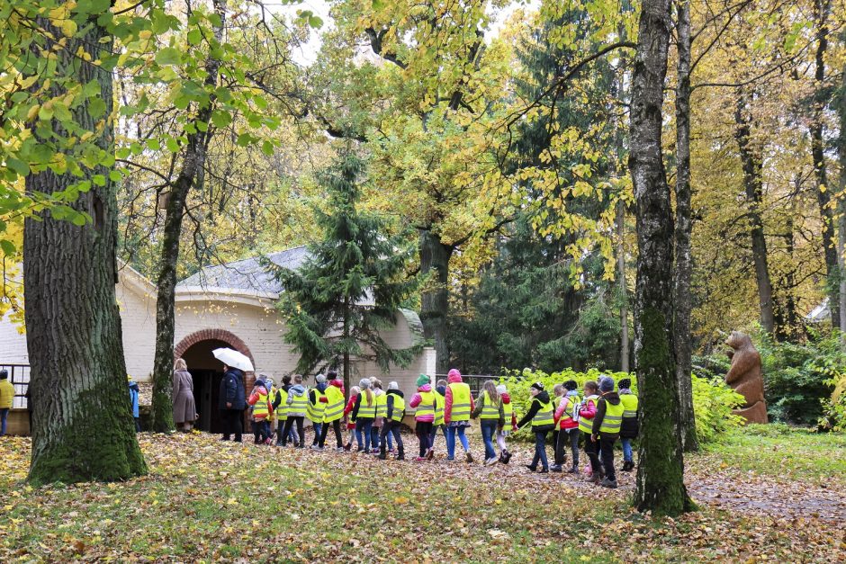 Dešimtojoje akcijoje „Gilė“ – rekordinis dalyvių skaičius