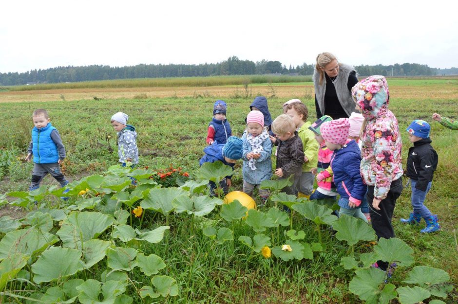 Kaune – sveiko maisto mokykla vaikams