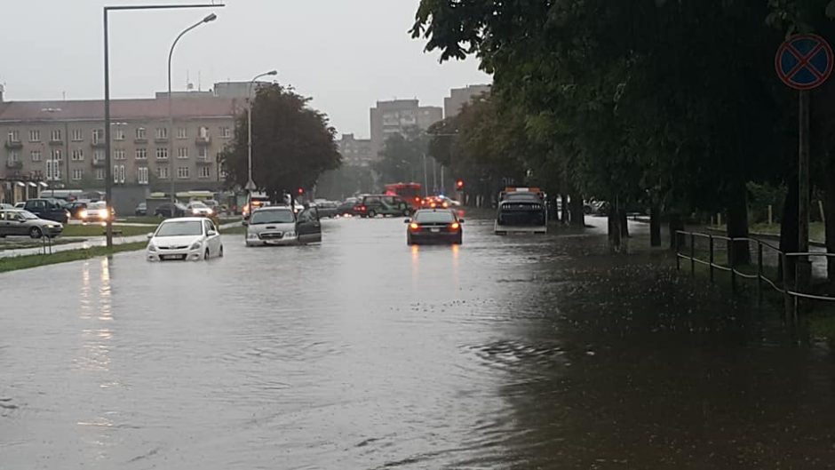 Liūtis pasiekė ir Vilnių: gatvėse įsivyravo sumaištis, atsivėrė įgriuva