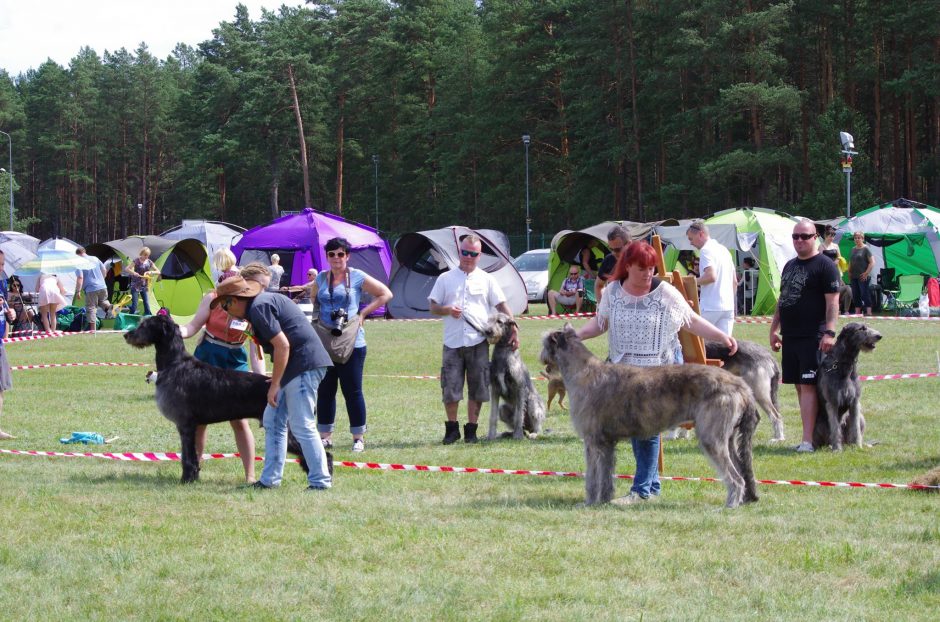 Druskininkai diktuoja vasaros ritmą