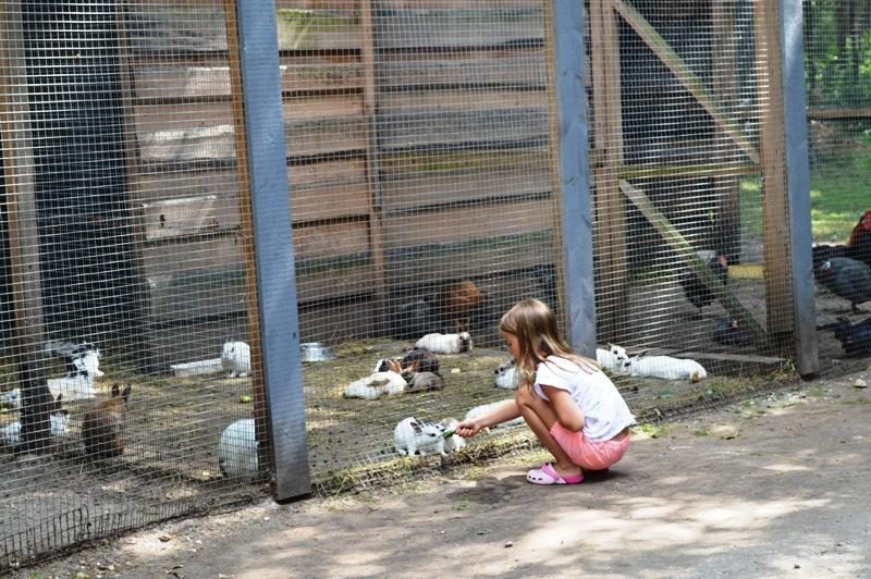 Gražėjantis Palangos Birutės parkas užburia ne tik ramybe