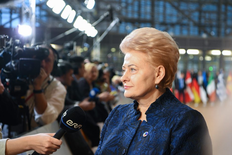 D. Grybauskaitė: Ukrainai reikia daugiau užsispyrimo vykdant reformas