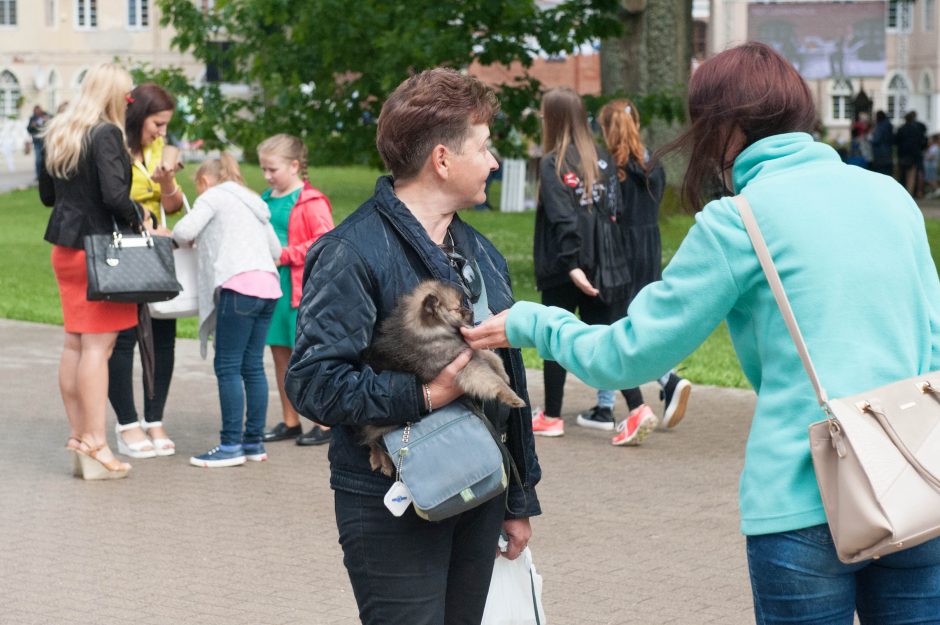 L. Mažylis: apie viešumą, „Žalgirį“ ir susitikimą su Karlsonu