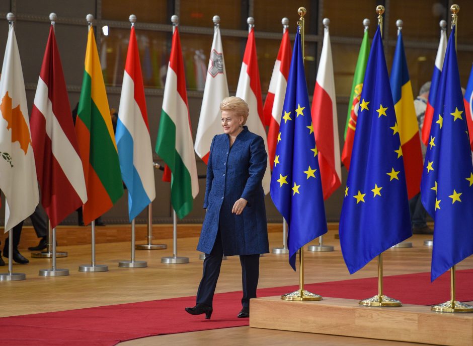 D. Grybauskaitė pasigenda konkretumo siūlant sudaryti euro zonos biudžetą