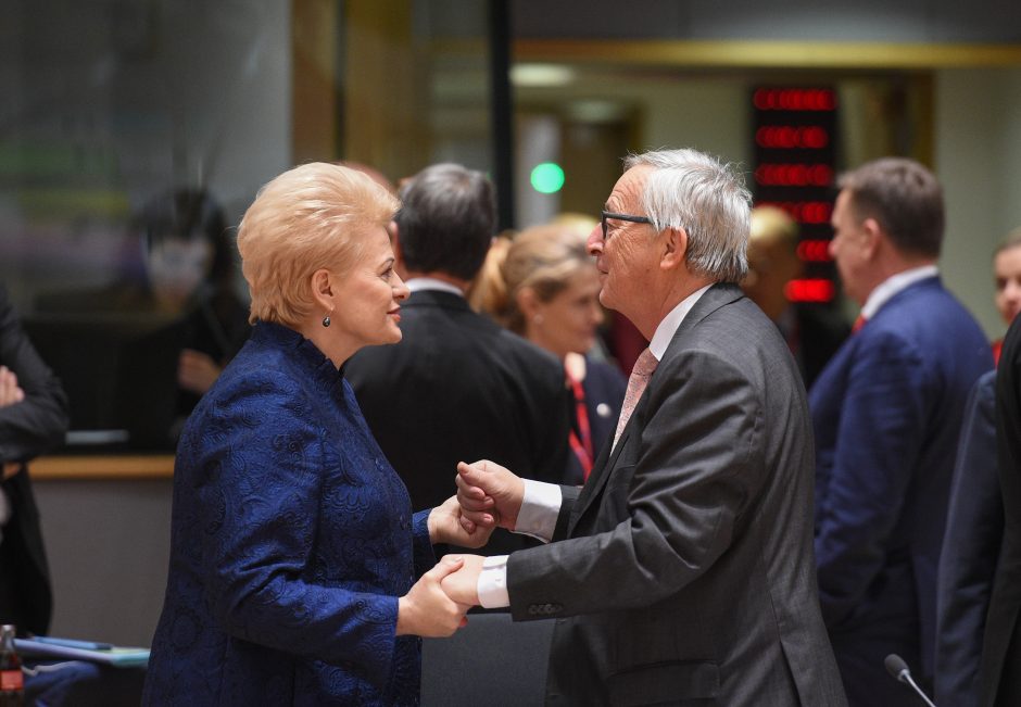 D. Grybauskaitė pasigenda konkretumo siūlant sudaryti euro zonos biudžetą